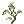 Poison Herb Seratum