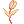 Golden Tulip Flower