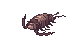 Deep Sea Kukre