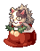 Socks Stealing Raccoon
