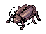 Thief Bug Ringleader