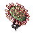 Solid Drosera