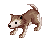 Corrupt Baby Desert Wol