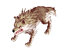 Corrupt Desert Wolf