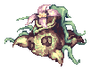 Jungle Madragora