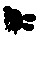 Kobold