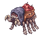 Pom Spider
