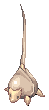 Swift Stem Worm