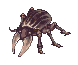Solid Horn