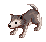 Hunter Desert Wolf