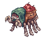 Fruits Pom Spider